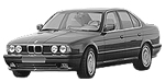 BMW E34 P1420 Fault Code